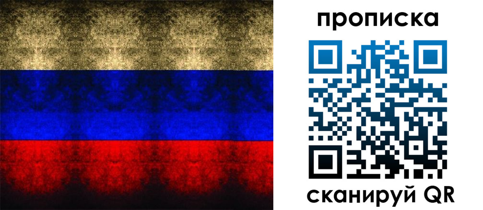 временная прописка в Мытищах